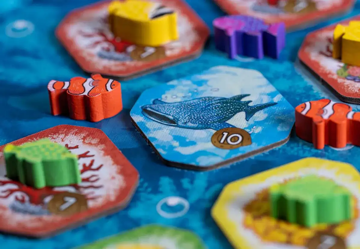 Красивое из Shallow Sea