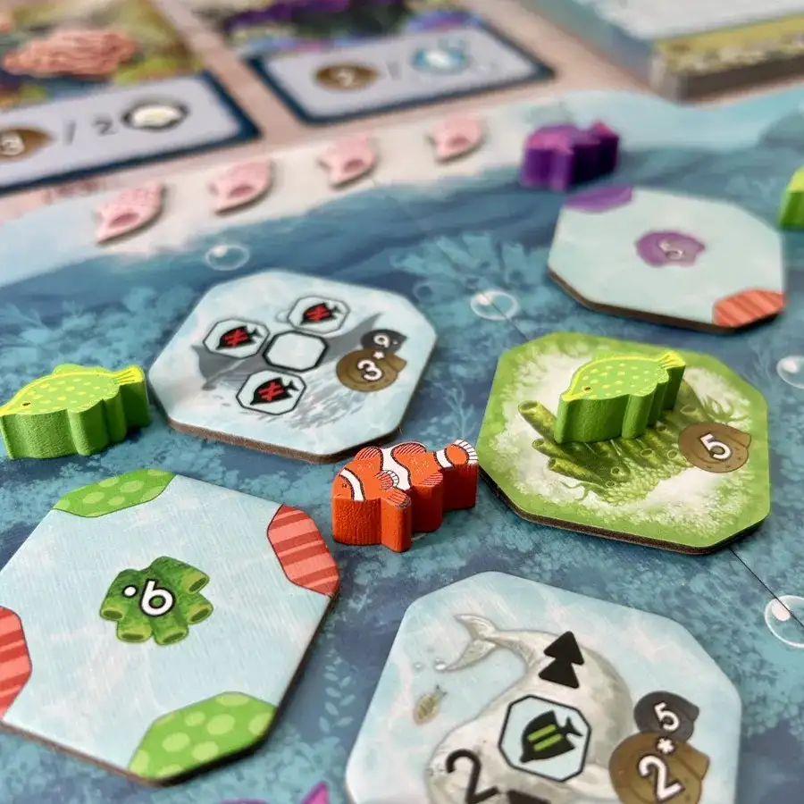 Красивое из Shallow Sea