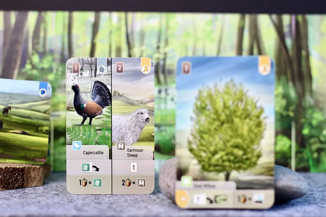 Forest Shuffle: Dartmoor — новая игра на BGA