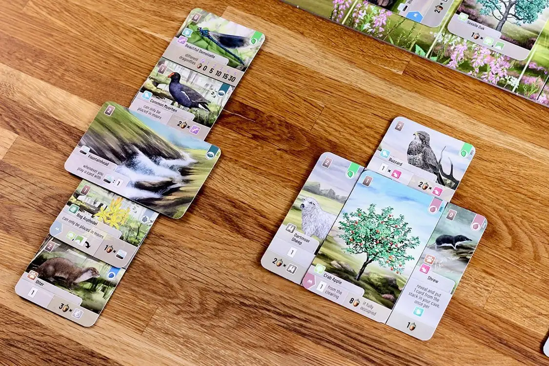 Forest Shuffle: Dartmoor — новая игра на BGA